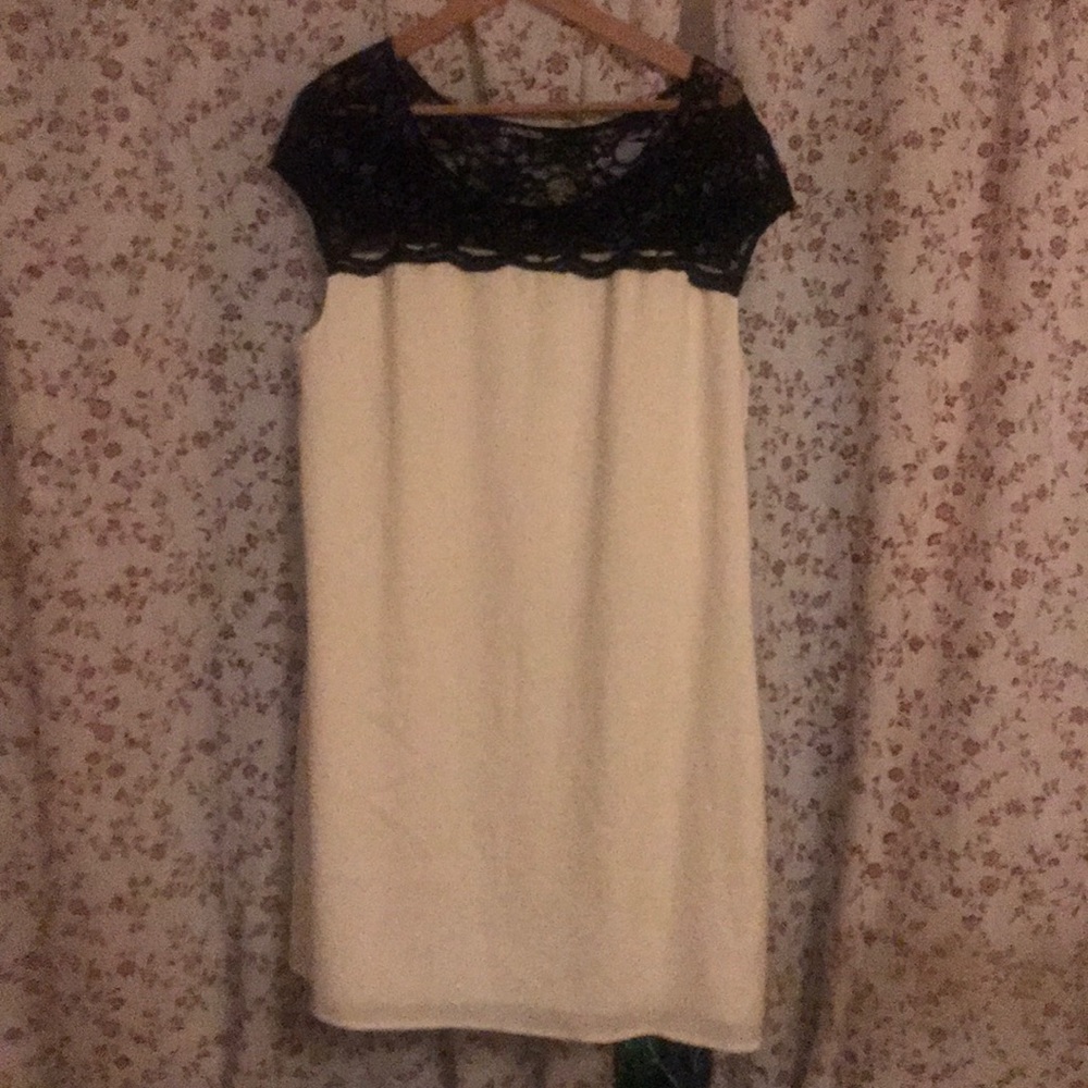 Express Dress Large